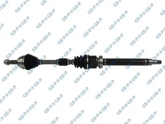 GSP 218380