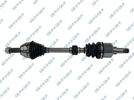 GSP 218405
