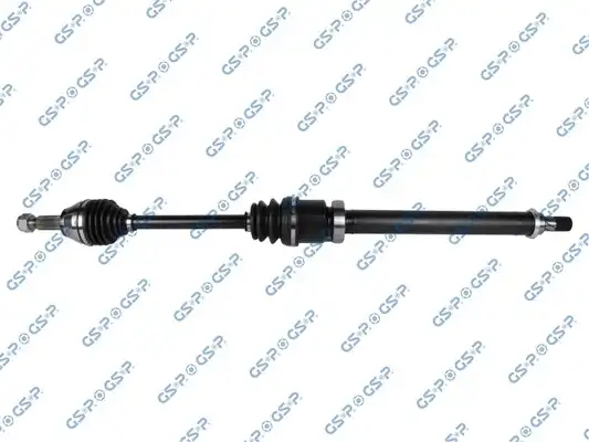 GSP 218406