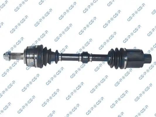 GSP 223191