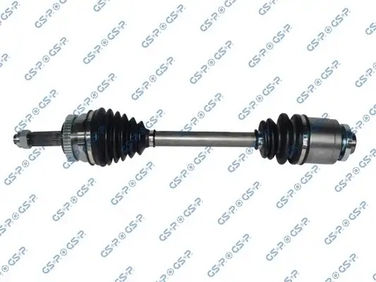 GSP 224221