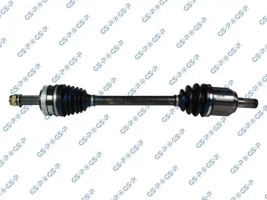 GSP 224231