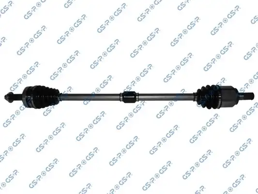 GSP 224261