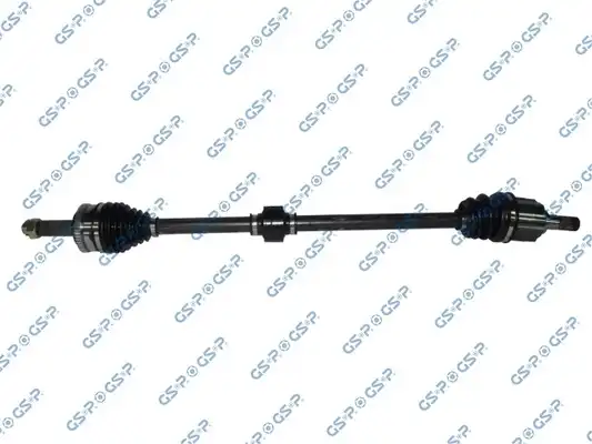 GSP 224282