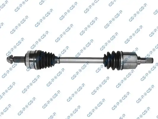 GSP 224299