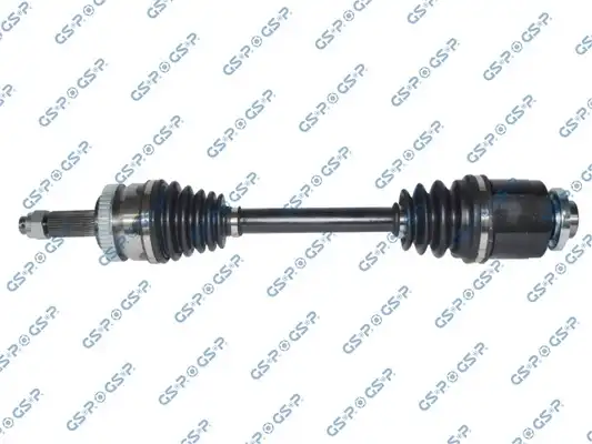 GSP 224301