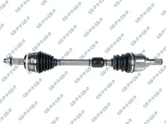 GSP 224318