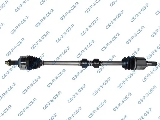 GSP 224362