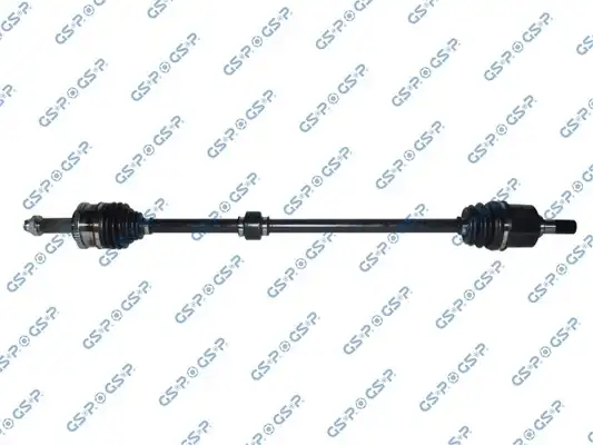 GSP 224398