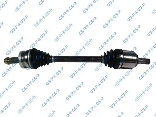 GSP 224497