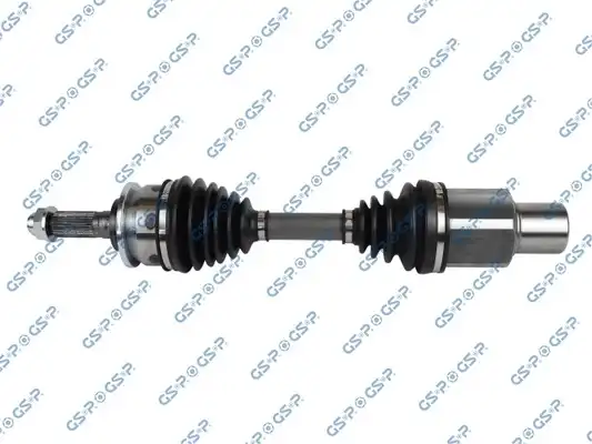 GSP 234220
