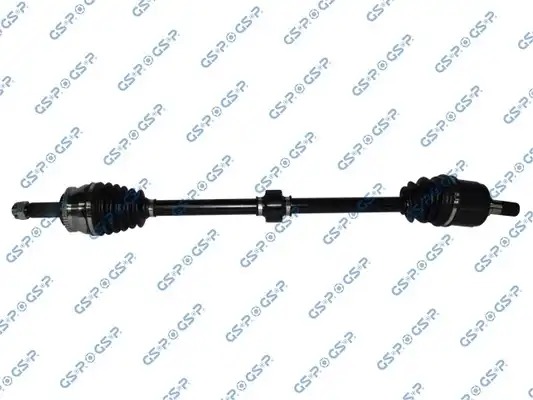 GSP 239210