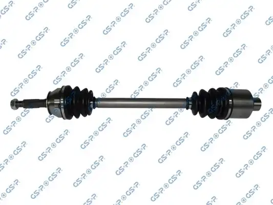 GSP 244006