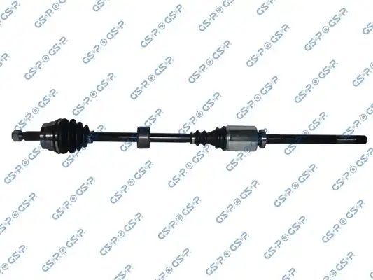 GSP 244021
