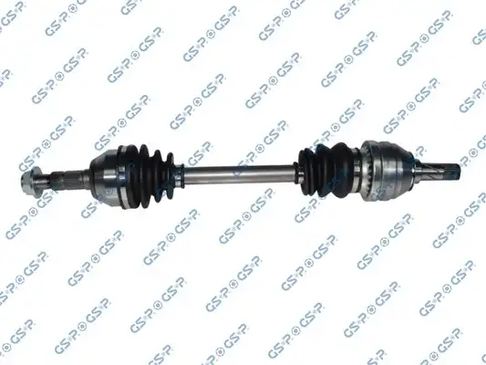 GSP 244028