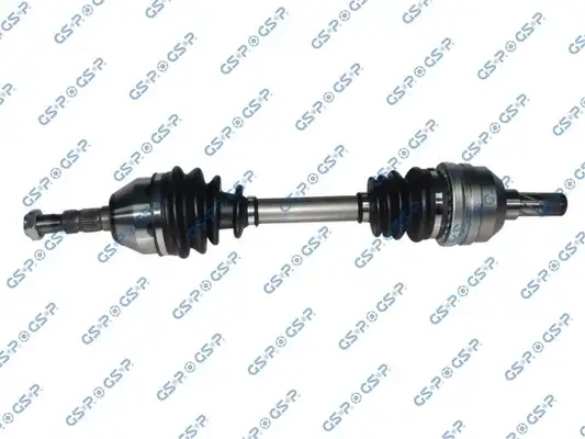 GSP 244029
