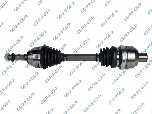 GSP 244031