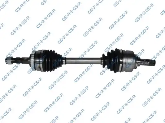 GSP 244095