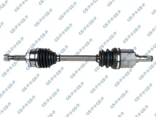GSP 244100