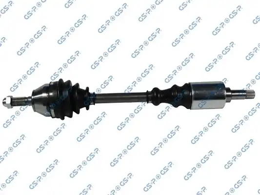 GSP 245004
