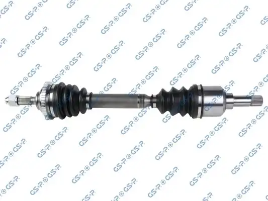 GSP 245009