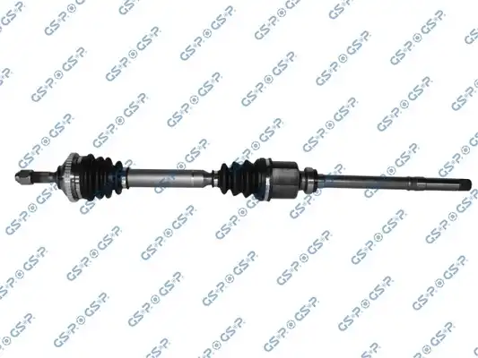 GSP 245010