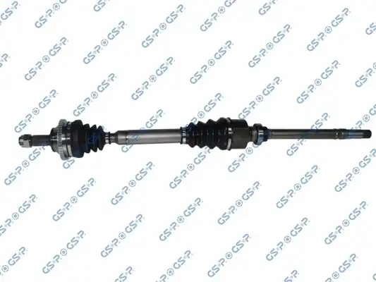 GSP 245011