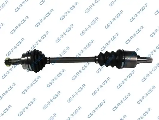 GSP 245021