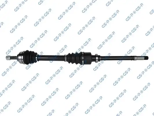 GSP 245094