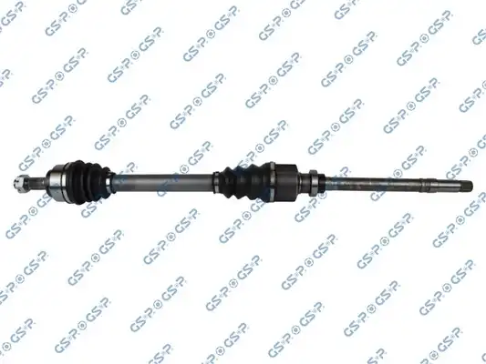 GSP 245113