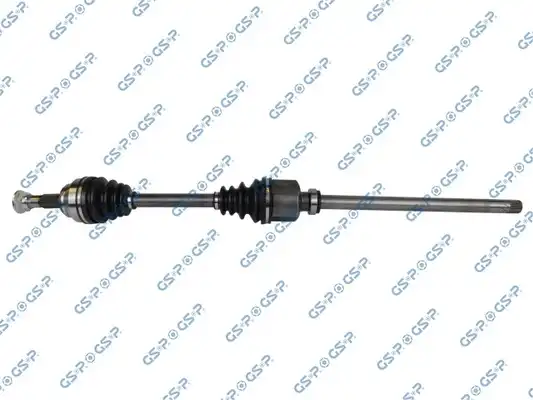 GSP 245174