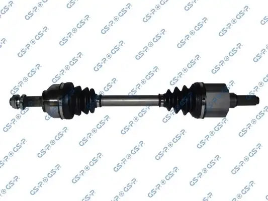 GSP 245225