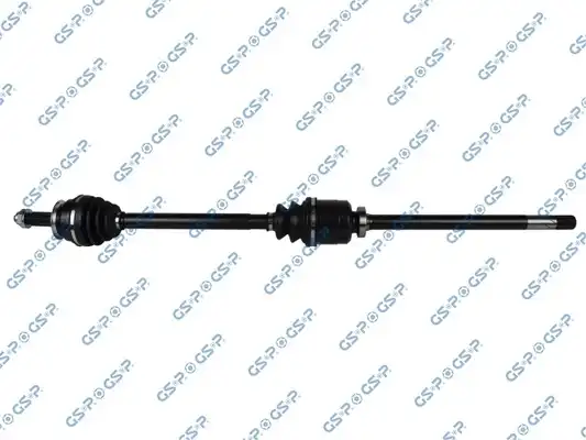 GSP 250011