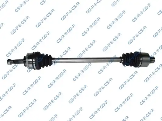 GSP 250021