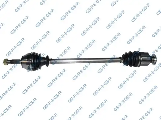 GSP 250095
