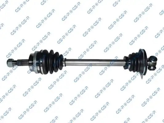 GSP 250166