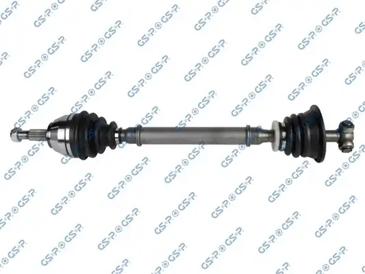 GSP 250197