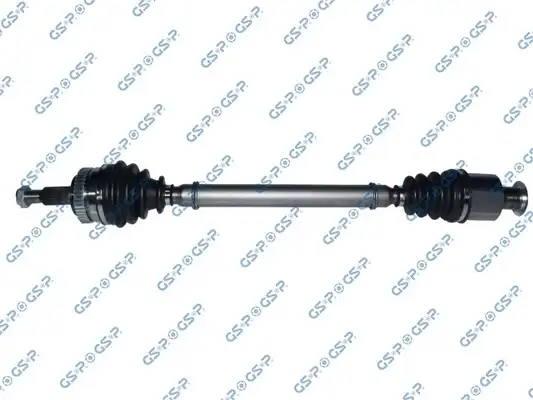 GSP 250211