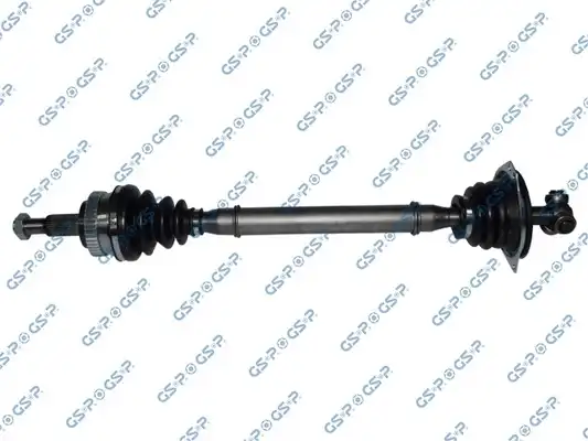 GSP 250221