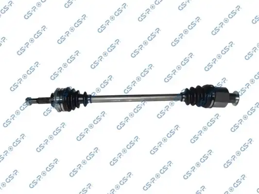 GSP 250245