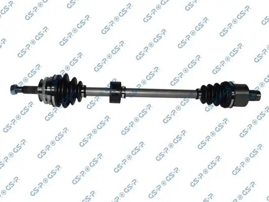 GSP 250254