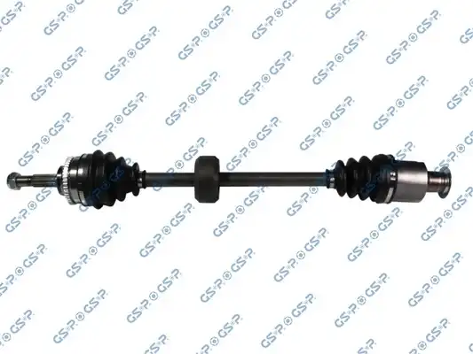 GSP 250263