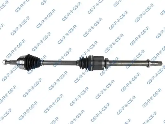 GSP 250348