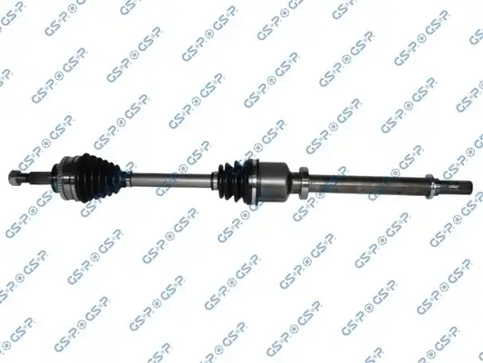 GSP 250364