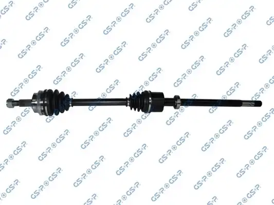 GSP 250366