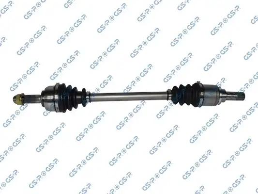 GSP 250369