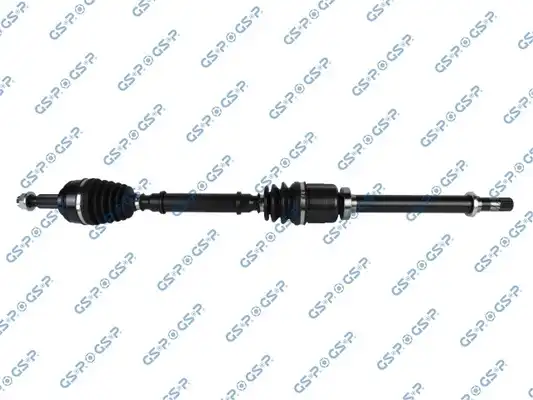 GSP 250377