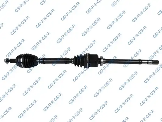 GSP 250380