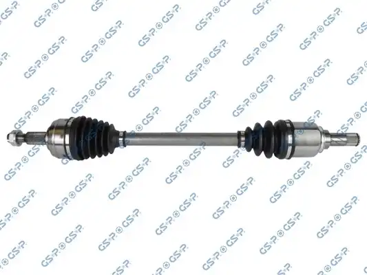 GSP 250383