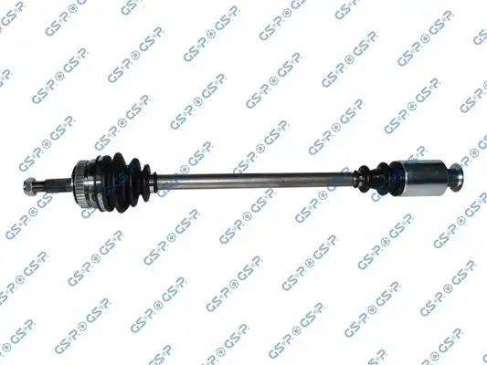 GSP 250389